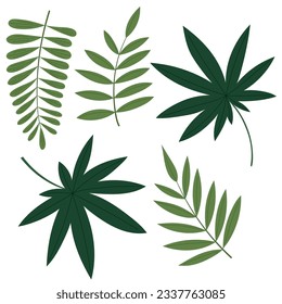 Set of tropical palm leaves on white background