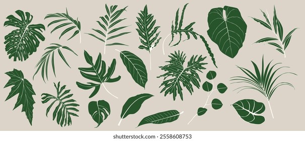 Set of tropical palm leaves and plants isolated on white background. Colorful plant collection. Botanical elements for cosmetics, spa, beauty care products.