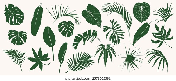 Set of tropical palm leaves and plants isolated on white background.