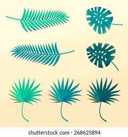 Set of tropical palm leaves. Retro vector design elements