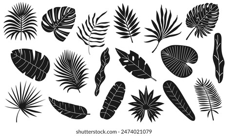 Set of tropical and palm leaves. Silhouettes black branches, leaves in minimalist flat style. Hand drawn vector illustration. Exotic design with leaves on white background.