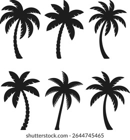 Set of Tropical Palm Tree Silhouettes - Beach Nature Vector Collection