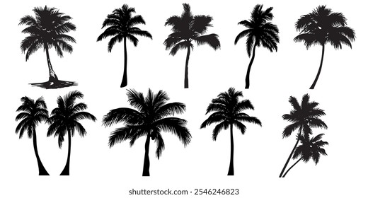 Set of tropical palm tree vector silhouette. Hand-drawn vector illustration. 