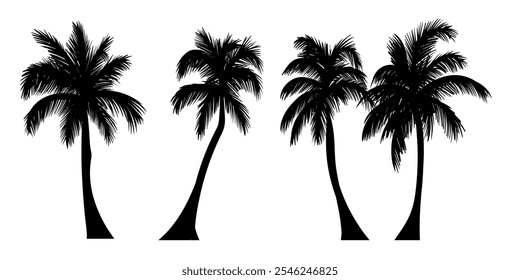 Set of tropical palm tree vector silhouette. Hand-drawn vector illustration. 