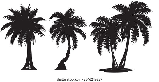 Set of tropical palm tree vector silhouette. Hand-drawn vector illustration. 