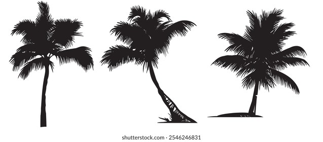 Set of tropical palm tree vector silhouette. Hand-drawn vector illustration. 