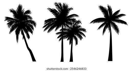 Set of tropical palm tree vector silhouette. Hand-drawn vector illustration. 