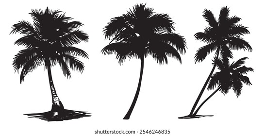 Set of tropical palm tree vector silhouette. Hand-drawn vector illustration. 