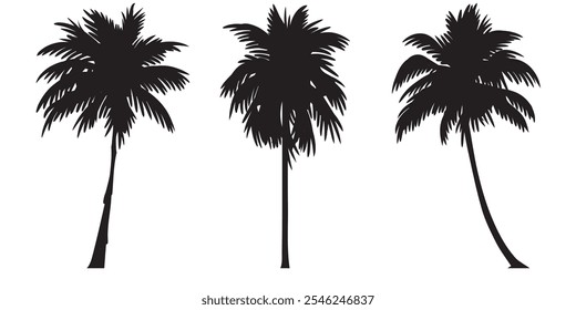 Set of tropical palm tree vector silhouette. Hand-drawn vector illustration. 