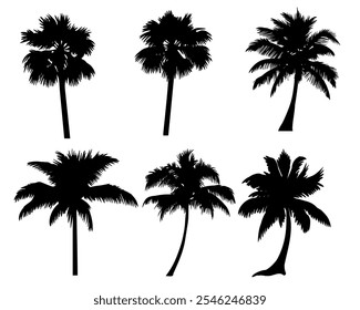 Set of tropical palm tree vector silhouette. Hand-drawn vector illustration. 