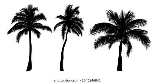 Set of tropical palm tree vector silhouette. Hand-drawn vector illustration. 