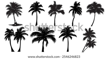 Set of tropical palm tree vector silhouette. Hand-drawn vector illustration. 