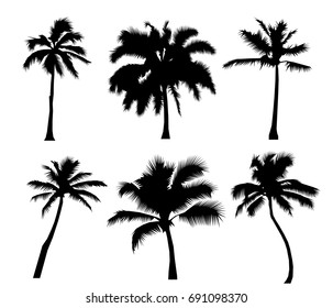 Set tropical palm trees, black silhouettes isolated on white background. Flat design Vector Illustration