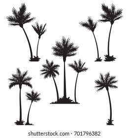 Set tropical palm trees, black silhouettes isolated on white background. Design elements.