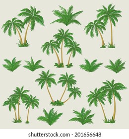 Set tropical palm trees with green leaves, mature and young plants. Vector