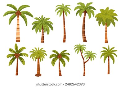 Set of tropical palm trees with green leaves and coconuts vector illustration isolated on white background