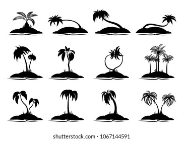 Set tropical palm trees with leaves, mature and young plants. Black silhouettes isolated on white background. Vector. Palm icon