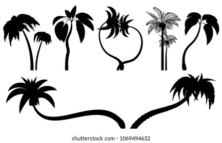 Set tropical palm trees with leaves, mature and young plants. Black silhouettes isolated on white background. Vector. Palm icon