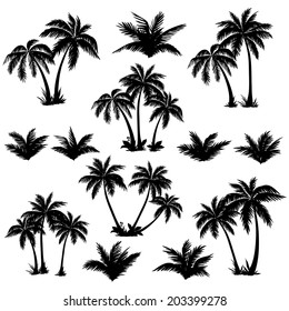 Установите тропические пальмы с листьями, зрелыми и молодыми растениями, черными силуэтами, изолированными на белом фоне. Вектор