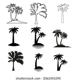 Set tropical palm trees with leaves, mature and young plants, black silhouettes isolated on white background