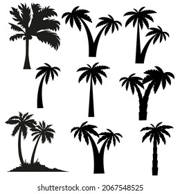Set tropical palm trees with leaves, mature and young plants, black silhouettes isolated on white background