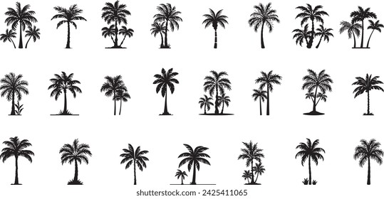 Set tropical palm trees with leaves, mature and young plants, black silhouettes isolated on white background. Vector