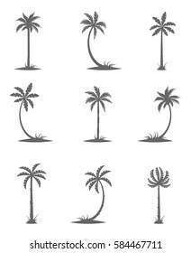 Set tropical palm trees with leaves, mature and young plants, black silhouettes isolated on white background.