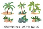 Set of tropical palm trees, plants in cartoon style. Vector illustration of island coconut palms, banana tree, monstera, tropical leaves, aloe, stones of different sizes isolated on white background.