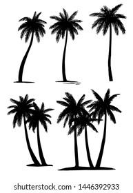 Set tropical palm trees plants, black silhouettes