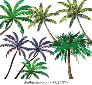 Set of Tropical Palm Trees. Vector collection 