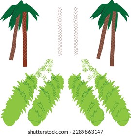 set of the tropical palms