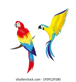 A set of tropical parrots. Parrots of various bright colors, in flight and sitting on a branch. Summer design element.