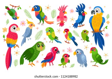 Set of tropical parrots. Vector cartoon parrots characters isolated on white background. Brazil animal in jungle with palm leaves and flowers