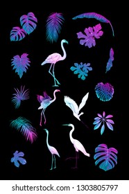 Set of tropical plans, flowers and birds. Stickers, elements for design. Isolated on black background in neon, fluorescent colors. Colored vector illustration.