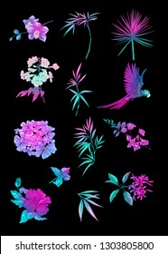 Set of tropical plans, flowers and birds. Stickers, elements for design. Isolated on black background in neon, fluorescent colors. Colored vector illustration.