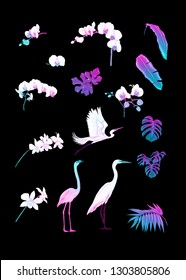 Set of tropical plans, flowers and birds. Stickers, elements for design. Isolated on black background in neon, fluorescent colors. Colored vector illustration.