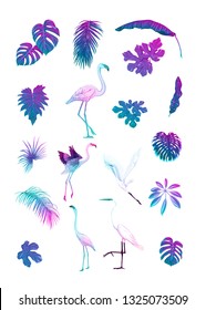 Set of tropical plans, flowers and birds. Stickers, elements for design. Isolated on white background in neon, fluorescent colors. Colored vector illustration.