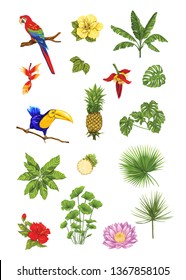 Set of tropical plans, flowers and birds. Isolated on white background in neon, fluorescent colors. Stickers, elements for design. Colored vector illustration.