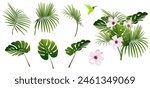 set of tropical plant branches with white hibiscus flower and hummingbird