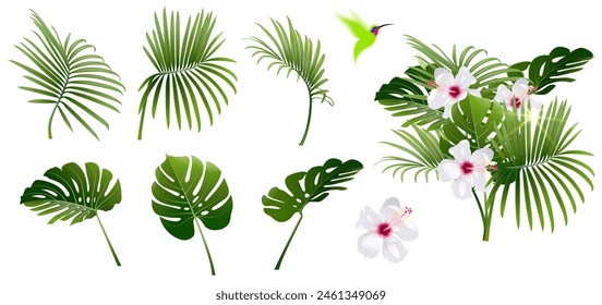 set of tropical plant branches with white hibiscus flower and hummingbird