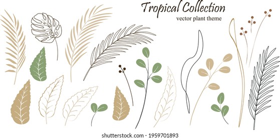 Set of tropical plant elements vector
