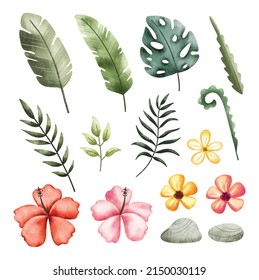 Set of Tropical plant leaves and flowers 