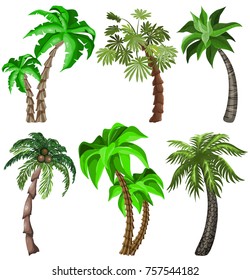 Set of Tropical plants