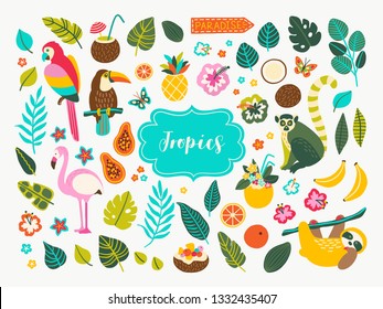 Set of tropical plants and animals design elements with toucan, parrot, cocktails, leaves, jungle palms, sloth, flamingo, lemur, flowers and fruits. Perfect for summer party decorations, logos.