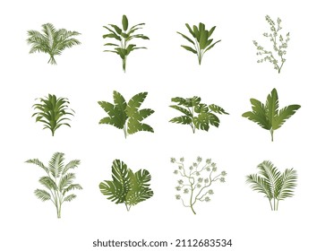 Set of tropical plants. Bushes from Africa and other exotic places. Unusual vegetation, fresh air and nature. Flower shop design elements. Cartoon flat vector illustration isolated on white background