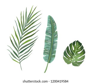Tropical Watercolor Leaves Set Vector Illustration Stock Vector ...