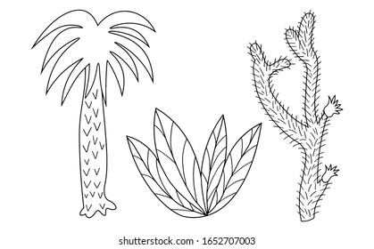 Set of tropical plants, palm, bush and cactus. Cartoon drawing. Isolated icon. Vector illustration.