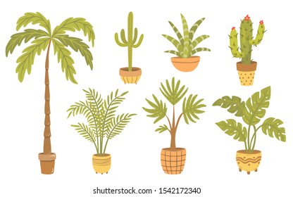 Set of tropical plants in pots. Palm, cactus, monstera. Different home plants. 