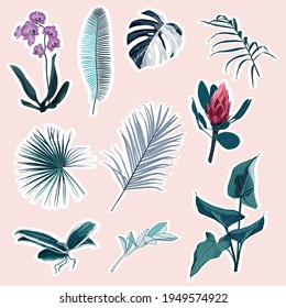 Set of tropical protea, orhid flowers and blue leaves elements. Set of stickers, pins, patches and handwritten notes collection stikers kit.