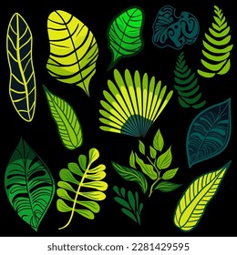 Set of tropical rainforest plants vector illustration 